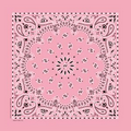 Domestic Light Pink Paisley Bandanna